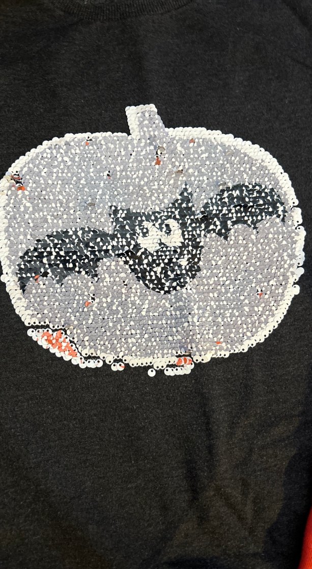 Renkli Payetli Kız Çocuk Sweatshirt - Görsel 3