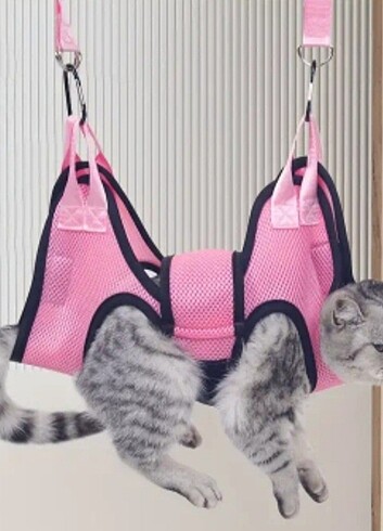 KEDİ HAMAĞI