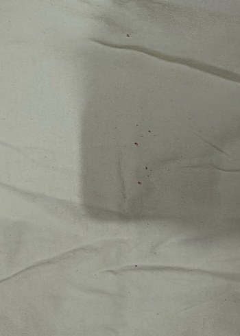 Kadın Beyaz Keten Kısa Kollu Tişört - Görsel 3