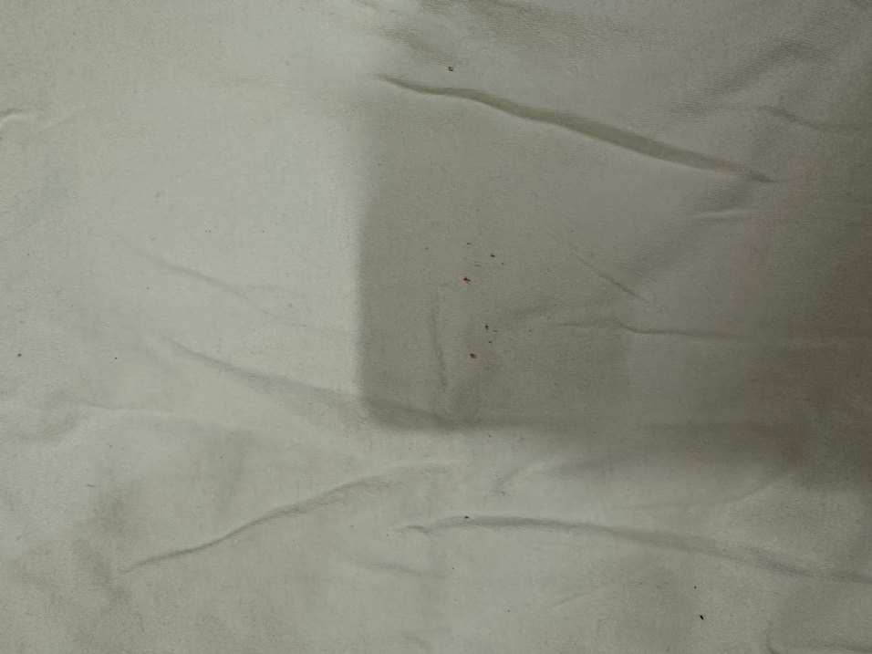 Kadın Beyaz Keten Kısa Kollu Tişört - Görsel 3