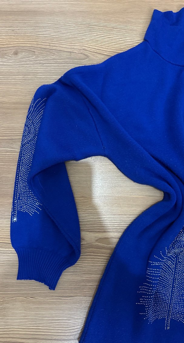 Mavi Düğmeli Nakışlı Kadın Triko takım - Görsel 3
