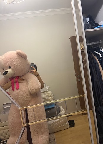 Pembe Peluş Ayıcık Oyuncak - Görsel 2