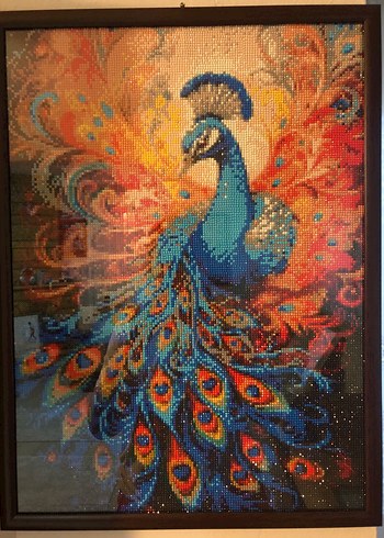 Renkli Tavuskuşu Desenli Tablo