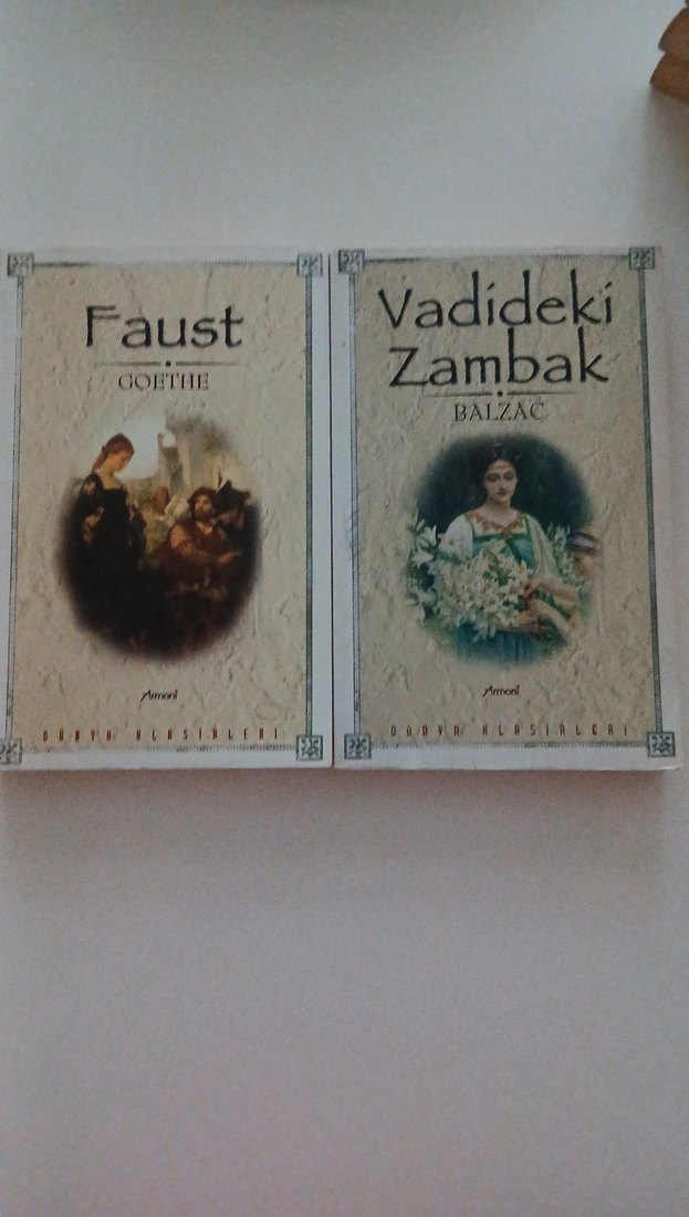 Klasik Roman Seti: Tolstoy ve Hemingway - Görsel 2