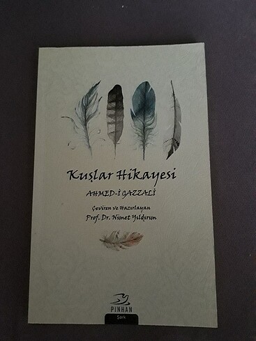 Kuşlar hikâyesi 