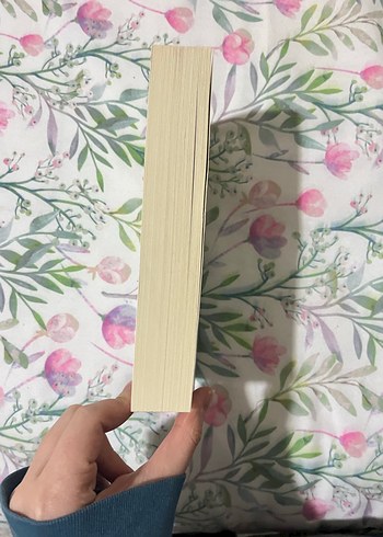 İki Şehrin Hikayesi - Charles Dickens - Görsel 2