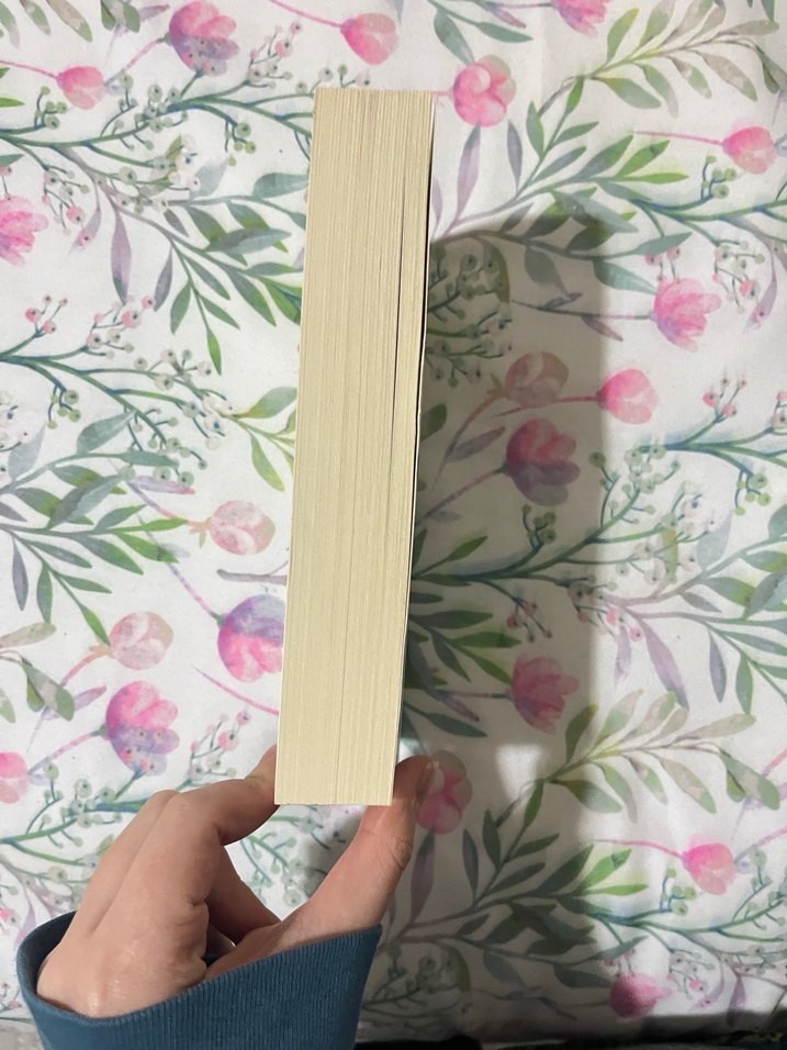 İki Şehrin Hikayesi - Charles Dickens - Görsel 2