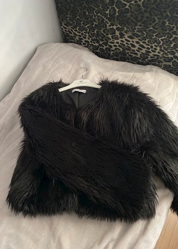 Siyah kürk - Görsel 2