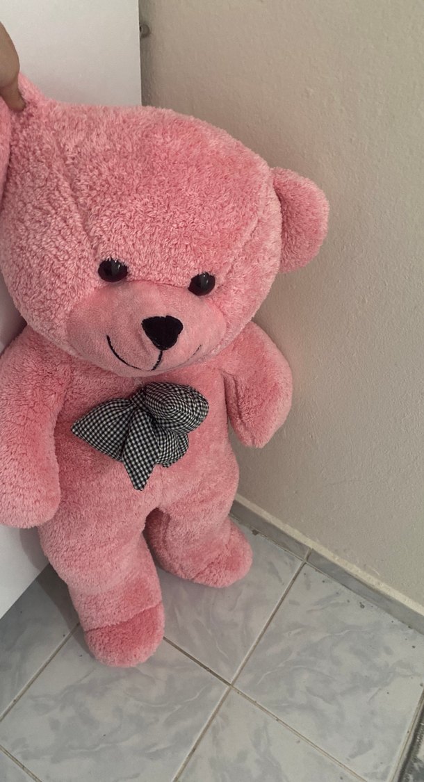 Pembe Peluş Ayıcık Oyuncak - Görsel 3