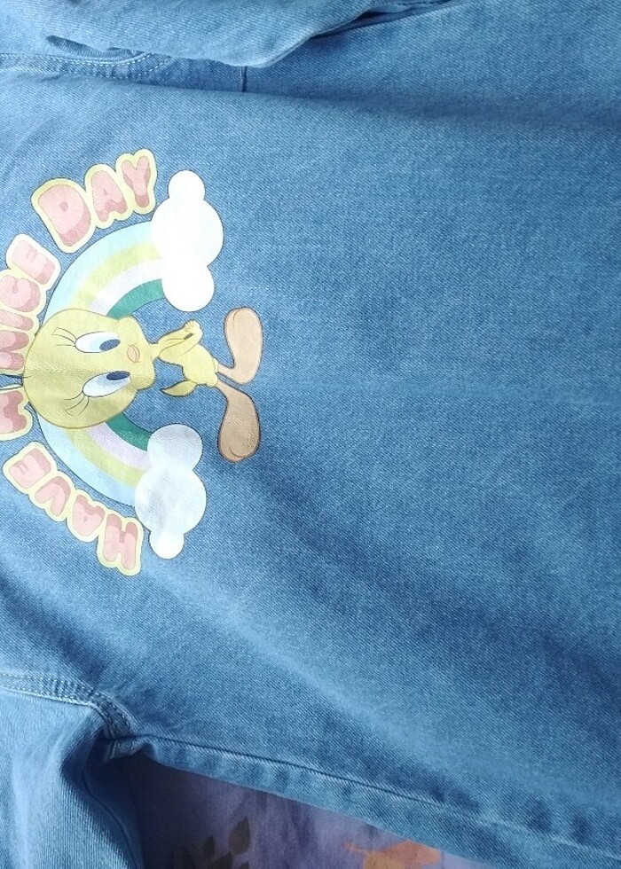 Kot ceket  - Görsel 3