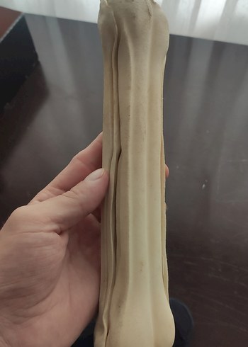 Beyaz Büyük Köpek Kemik Oyuncağı - Görsel 5