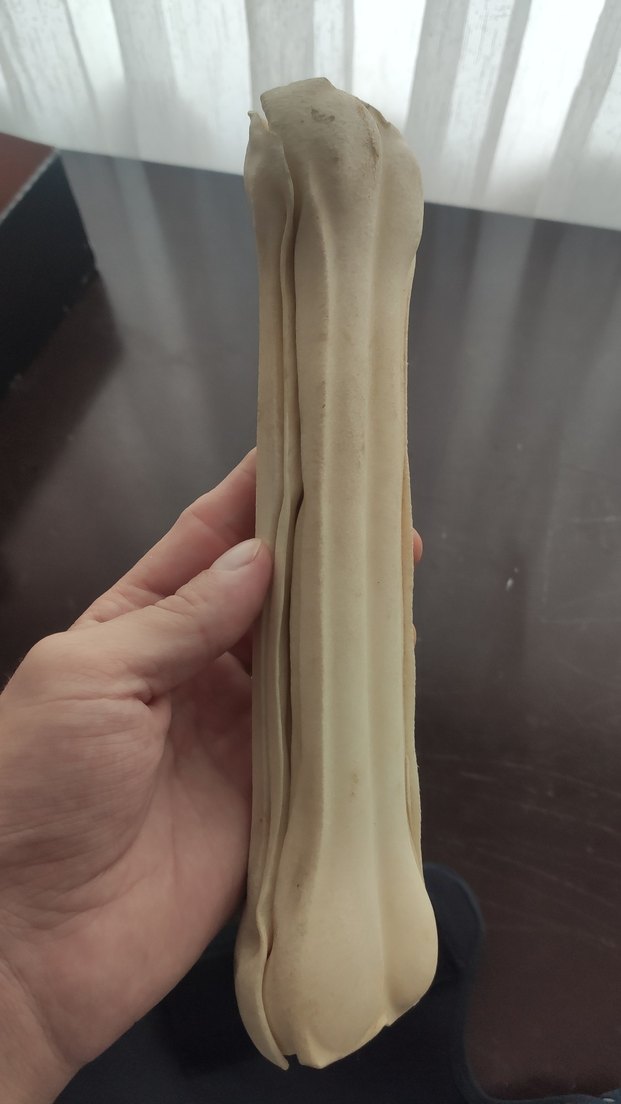 Beyaz Büyük Köpek Kemik Oyuncağı - Görsel 5