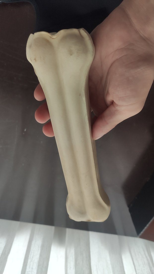 Beyaz Büyük Köpek Kemik Oyuncağı - Görsel 4