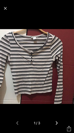 Hm crop 