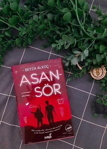 Beyza Alkoç Asansör Roman wattpad ciltli kapaklı