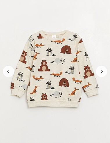 9-12 Ay Beden çeşitli Renk Lcw 2?li sweatshirt