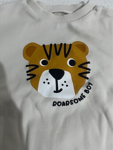 12-18 Ay Beden çeşitli Renk Lcw sweatshirt