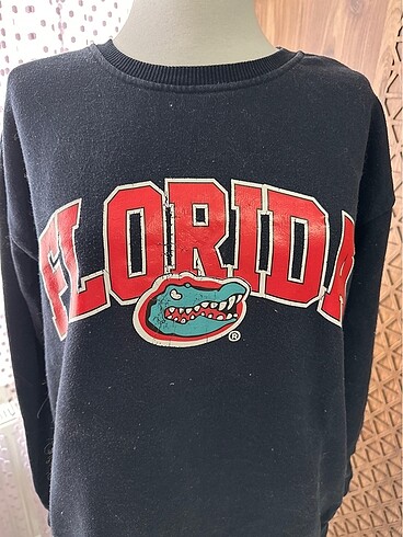 Diğer Florida yazılı sweat