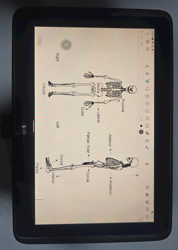 Samsung Tablet - Görsel 6