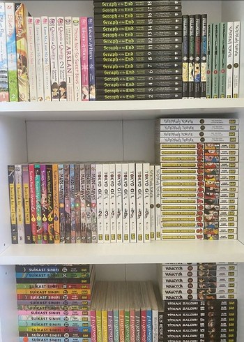 Beden Türkçe İngilizce toplu ucuz manga