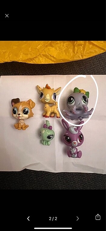 Lps miniş ahtapot