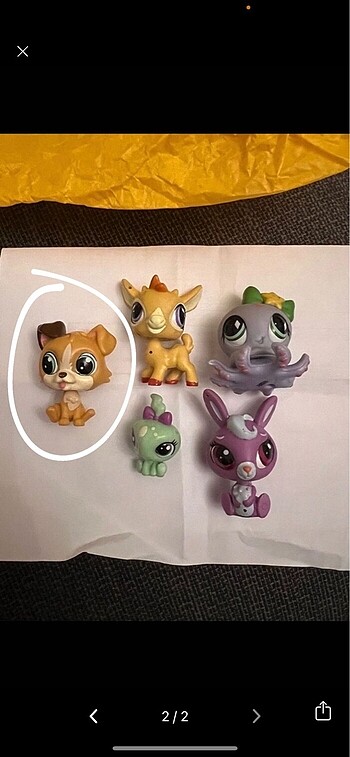 Lps miniş köpek