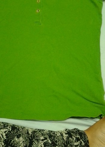 s Beden yeşil Renk Yeşil Düğmeli Polo Yaka Kısa Kollu Tişört