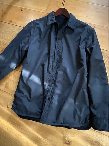 Orjinal giordano mont