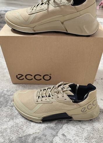 Ecco erkek