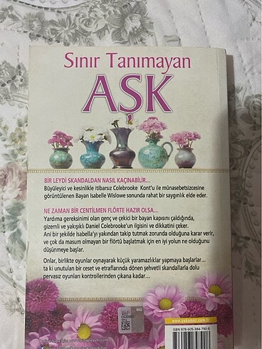 Aşk romanı