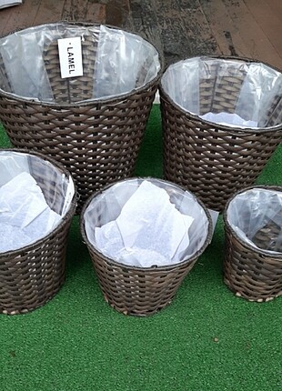 RATTAN LUX SAKSI 