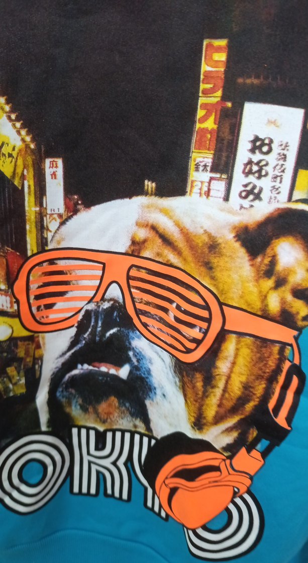 Erkek Çocuk Mavi Kapüşonlu Sweatshirt - Görsel 5