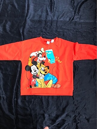 Lc Waikiki Sweatshirt ve H&M Uzun Kollu Tişört