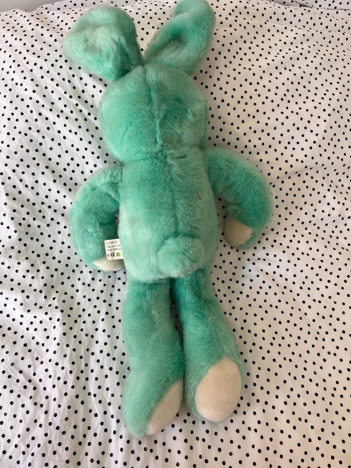 Turkuaz Yumuşak Peluş Oyuncak Tavşan - Görsel 2