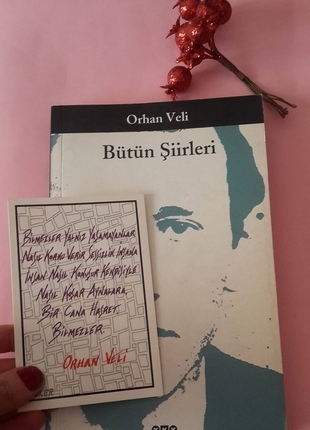 universal Beden çeşitli Renk Orhan Veli Şiirleri