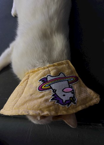 Sarı  renk Kedi Boyun Koruyucu Yaka - Görsel 6