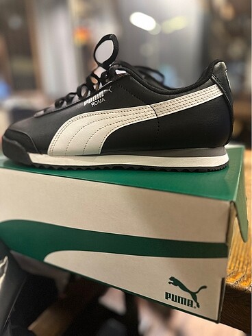 Puma roma