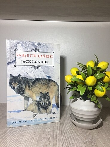 Vahşetin Çağırısı