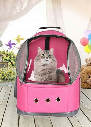 Kedi taşıma çantası