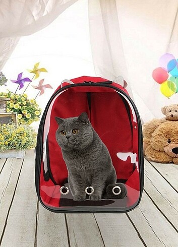 Kedi taşıma çantası