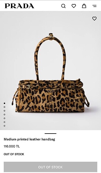Parada leopar