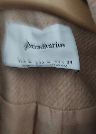 m Beden Stradivurius kaban