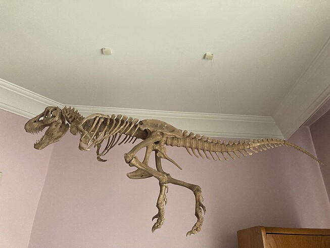 3D baskı T-Rex