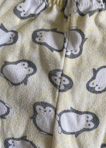 HelloBaby Erkek Çocuk Pijama Takımı