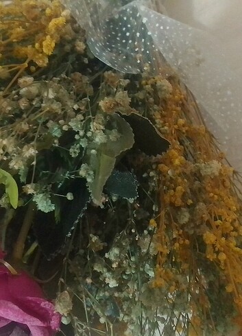 El çiçeği ciçek - Görsel 8