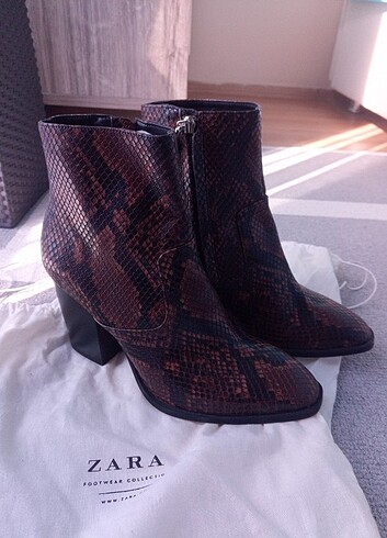 38 Beden Zara bot