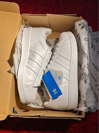 Adidas Superstar