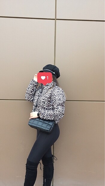 Diğer Leopar Mont