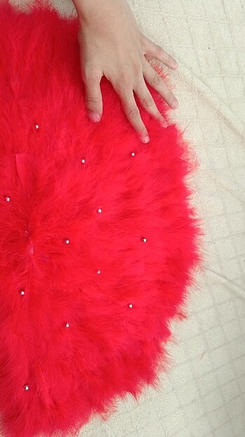 Kına yelpaze  - Görsel 3