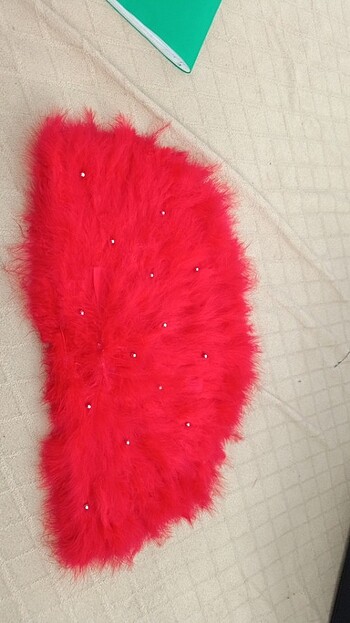 Kına yelpaze  - Görsel 4